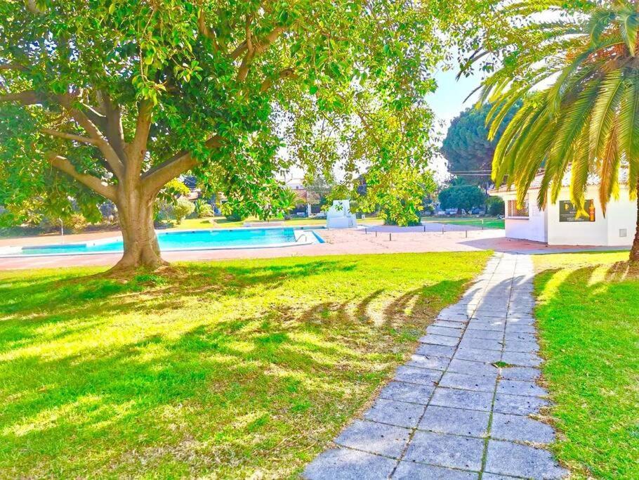 Resort Albufeira T1, Praia Da Oura Exteriör bild