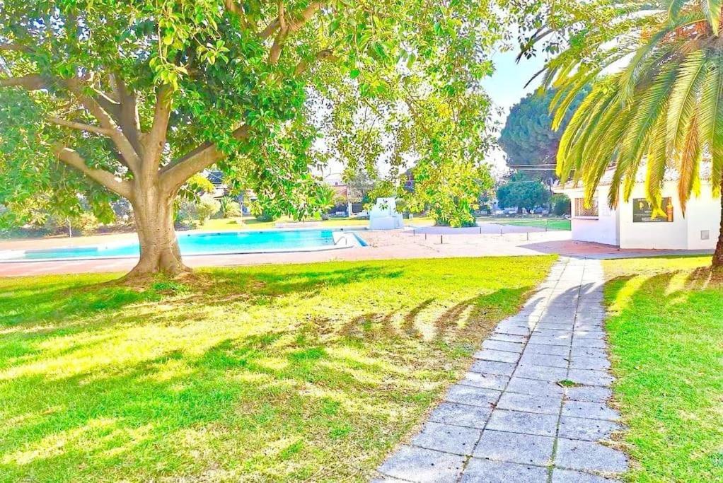 Resort Albufeira T1, Praia Da Oura Exteriör bild